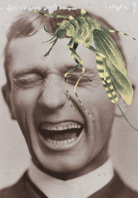 mosquito GIF by Scorpion Dagger