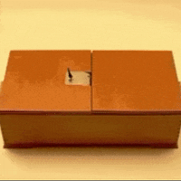 art magic GIF by The Videobook