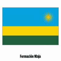 Flag Pixel Art GIF by Formación Ninja