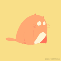 fat cat GIF