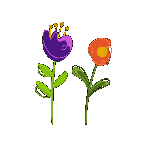 Flores Pacifico Sticker by Alejandro Eder