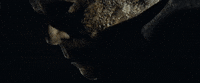 Michael Myers The Shape GIF by Halloween