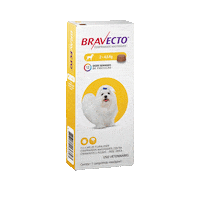 msdfamiliapet bravecto Sticker