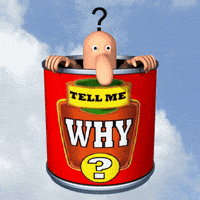 Why Would You Do That GIF