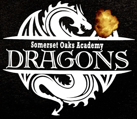 SomersetOaksAcademy soadragons soa dragon GIF