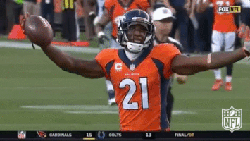 Denver Broncos Football GIF by NFL