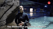Shark Week Sharks GIF by BuzzFeed