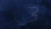 chris nell GIF by Greenville Swamp Rabbits