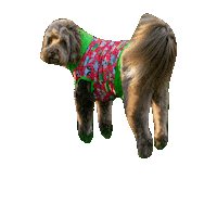 Christmas Dog Sticker by Geekster Pets