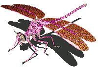 Art Dragonfly Sticker by badblueprints