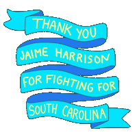 Election 2020 Fighting Sticker by Creative Courage