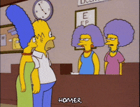 homer simpson sisters GIF