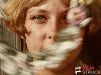 criterion collection daisies GIF by FilmStruck