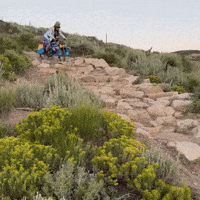 Beer Bike GIF by Pit Viper