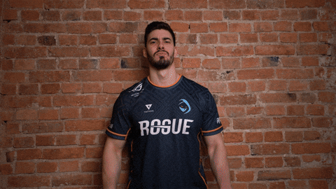 Team Esports GIF by Rogue