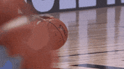 Regular Season Sport GIF by NBA