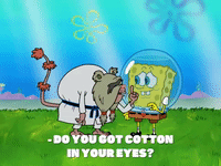 season 8 bubble troubles GIF by SpongeBob SquarePants