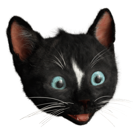 Felini laser funny cats green eyes cat memes Sticker