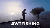 GIF by Spiderwire