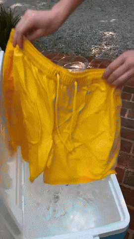 matteopellegrini24 giphyupload GIF