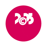 C3Chemnitz chemnitz chemnitz2025 kulturhauptstadt GIF