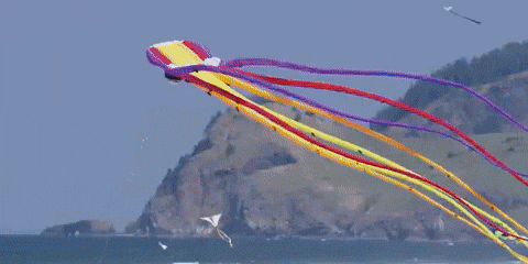 ExploreLC giphyupload GIF