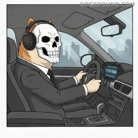 Driving To The Moon GIF by Doge Pound