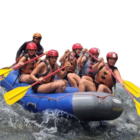 Boqueteoutdooradventures giphyupload boa boqueteoutdooradventures boquete outdoor adventures Sticker