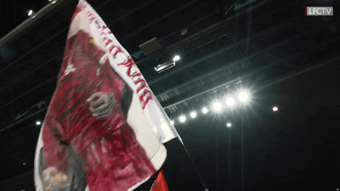 mohamed salah fans GIF by Liverpool FC