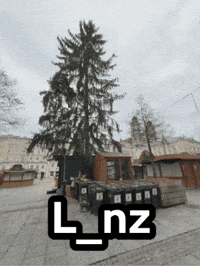 Christmas Love GIF by Linz News