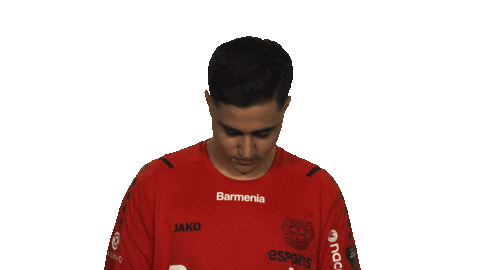 Happy Joy Sticker by Bundesliga