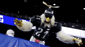 2018 nfl football GIF by NFL