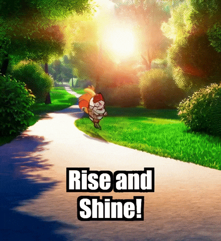 Rise And Shine Fitness GIF by Zorooster