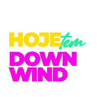 Lnnx Sticker by Centro de Kiteboarding e Esportes