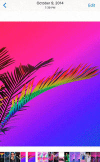 camera roll GIF by Signe Pierce