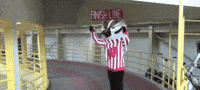 bucky serf GIF by uwmadison