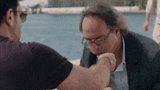 Kalpazan GIF by Show TV