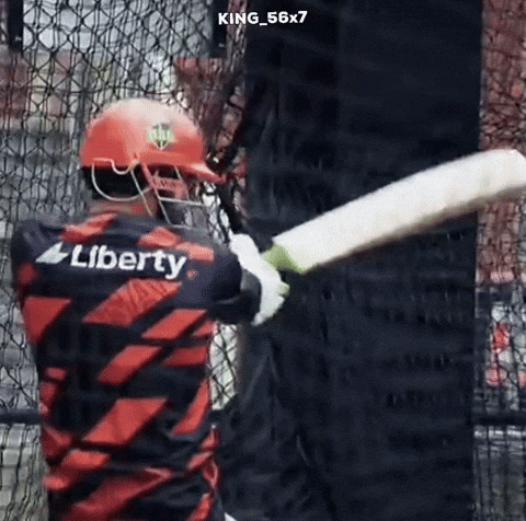 Melbourne Renegades GIF
