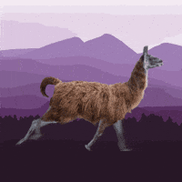 Llama Connect GIF by Meta