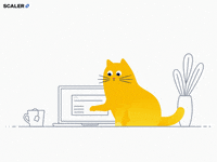 Cat Love GIF by Scaler