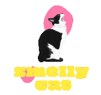 Smelling Tv Show Sticker by katycreates