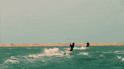 KITEYLOOPY fun loop beach sun GIF
