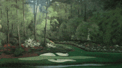 Cnwg19 GIF by Carson-Newman Athletics