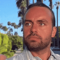 Inkstone GIF by haebom