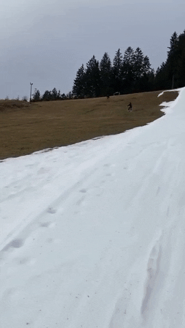 Snow Winter GIF by Storyful