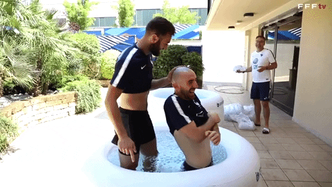 equipedefrance giphygifmaker kiss crane bisou GIF