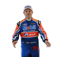 Rubens Barrichello Sticker by Stock Car Brasil
