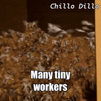 Unity Love GIF by Chillo Dillo