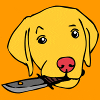 dog lol GIF by dieselraptor