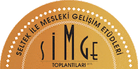 Seltek simge seltek seltekgroup seltekestetik Sticker